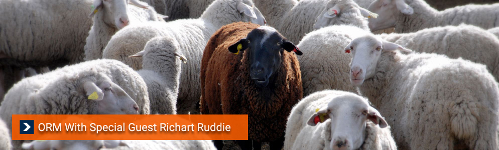 How I use Serpwoo.com To Manage Online Reputation Clients - Richart Ruddie How I use Serpwoo.com To Manage Online Reputation Clients - Richart Ruddie