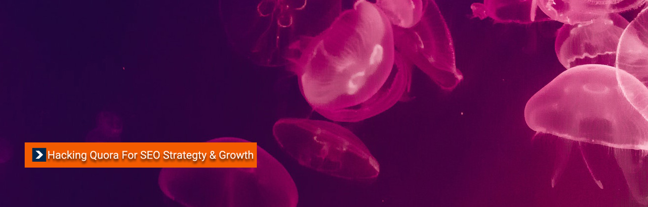 Hacking Quora For SEO Strategy & Growth Hacking Quora For SEO Strategy & Growth