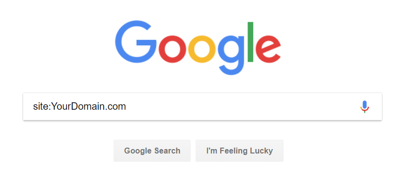 Google Site Search Operator