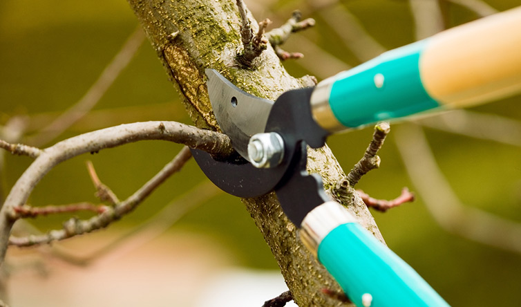 Pruning Your Website Content