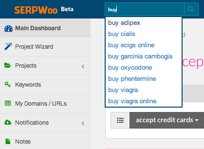 Utiliza la búsqueda rápida para acceder a las Keywords de cualquiera de tus proyectos desde cualquier página o sección.