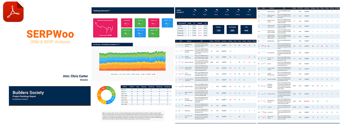 seo reports