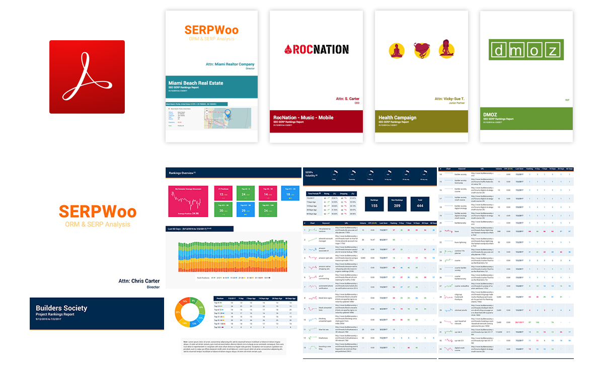 Customizable PDF Reports