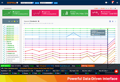 Watch your SERP competitors closely